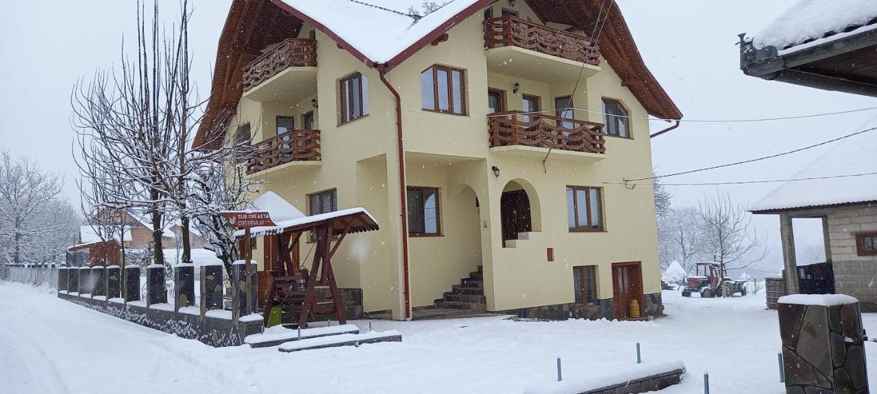 Sub Creasta Cocosului Hotel Breb Bagian luar foto